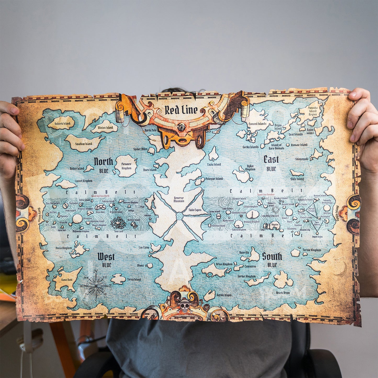 Anime One Piece World Map - Fanart Canvas Piece