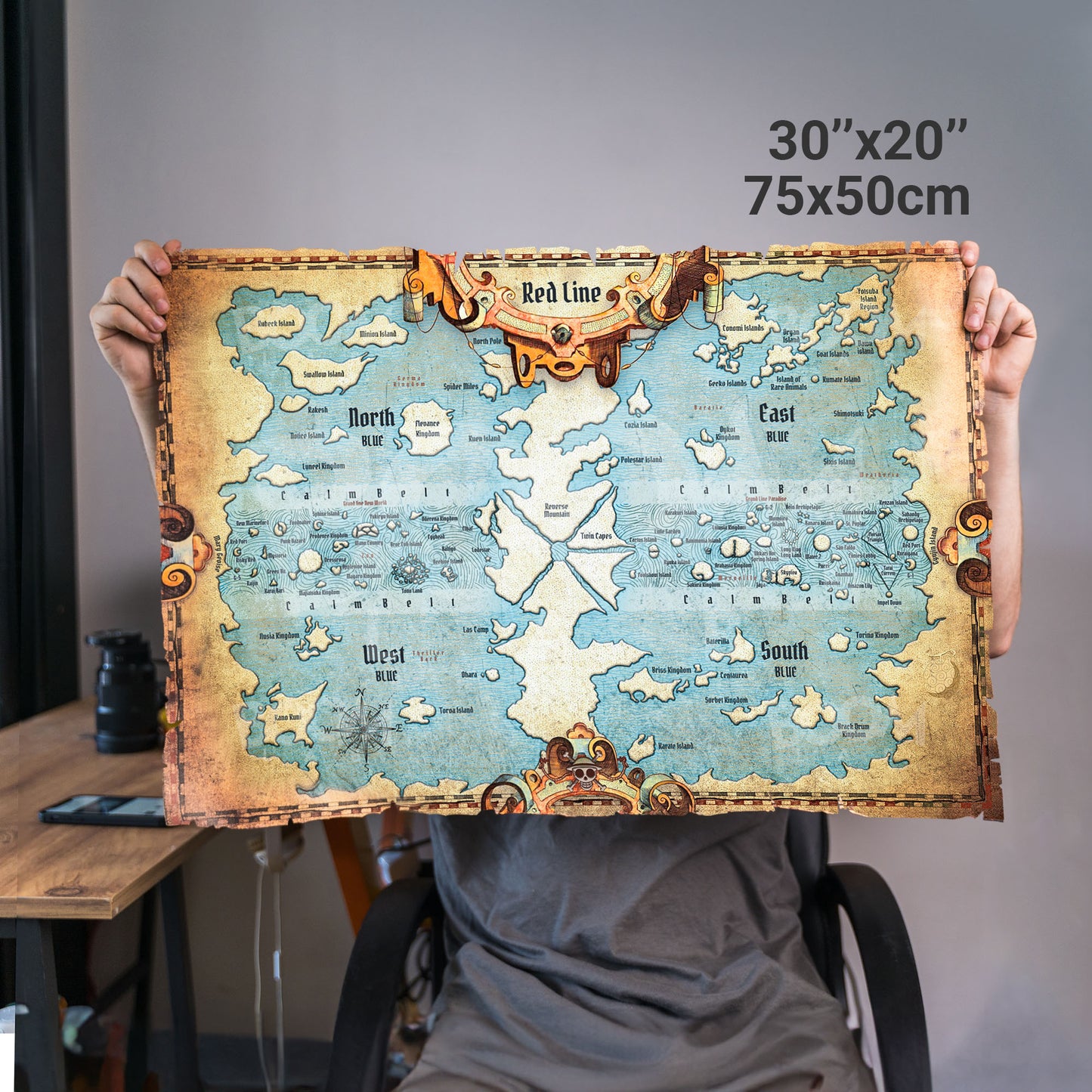 Anime One Piece World Map - Fanart Canvas Piece