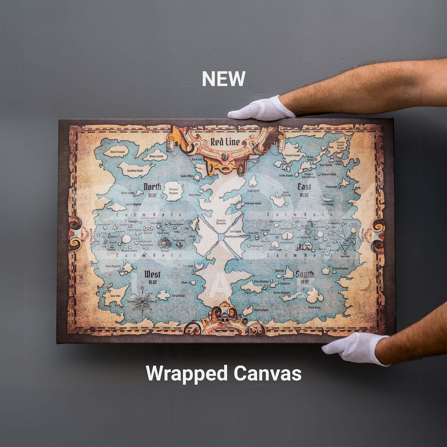 Anime One Piece World Map - Fanart Wrapped Canvas Piece