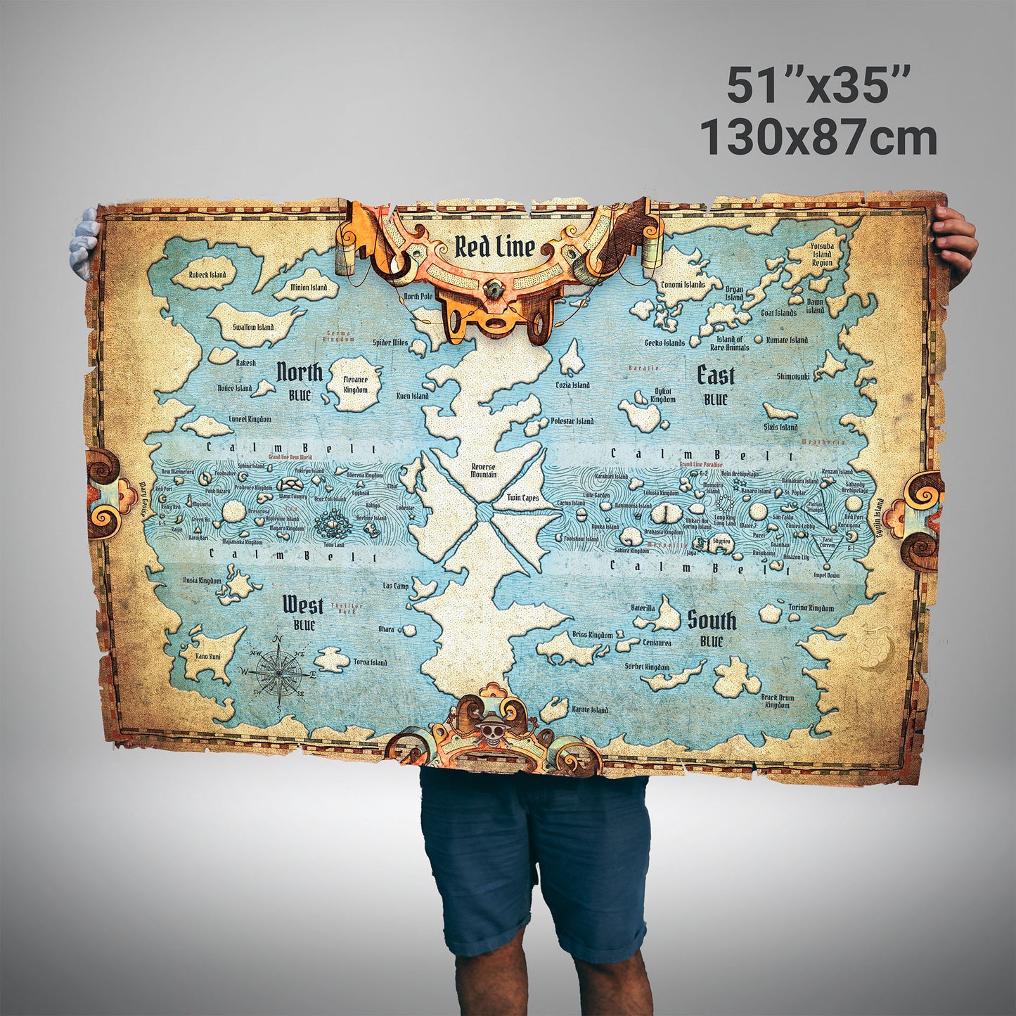 Anime One Piece World Map - Fanart Canvas Piece